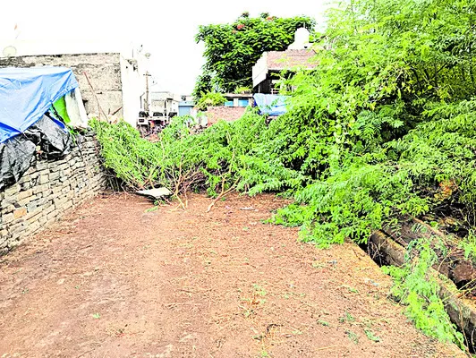 రోడ్ల