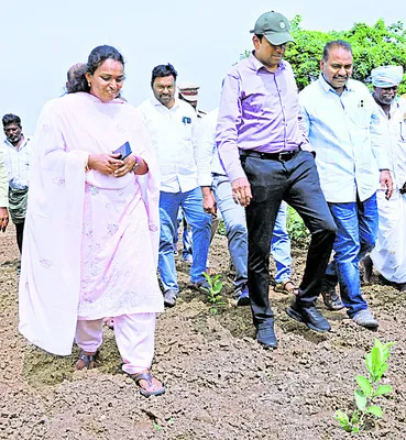 ఉద్యాన పంటలతో సుస్థిర ఆదాయం