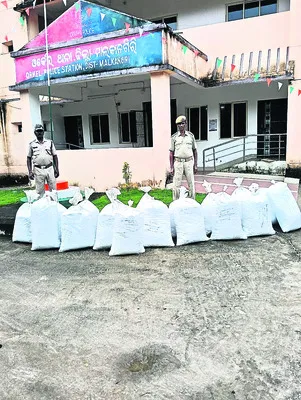 440 కిలోల గంజాయి పట్టివేత