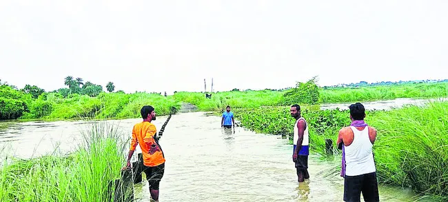 వానా.