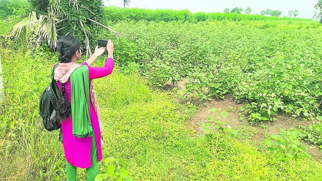 పక్కాగా పంటల లెక్క