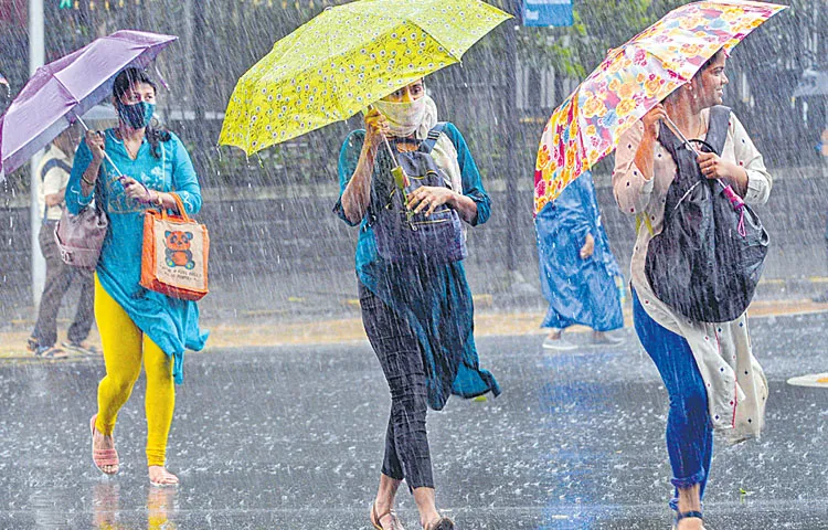 Satisfactory rainfall in the state