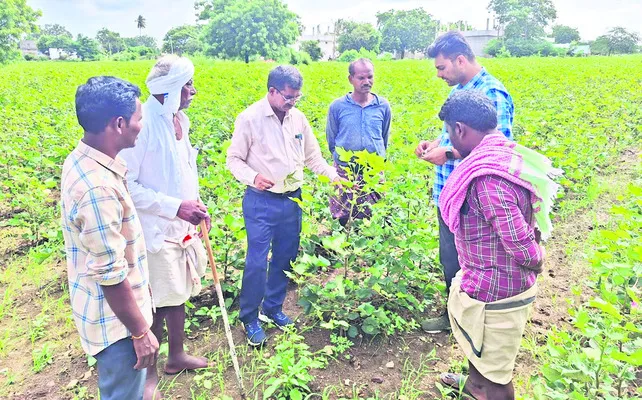 పంట సాగు వివరాలు నమోదు చేయాలి 