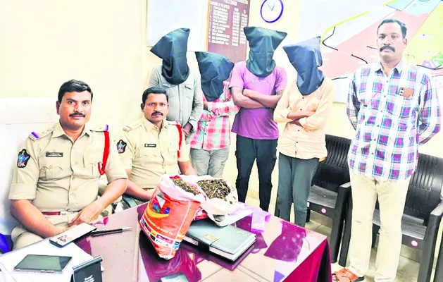 గంజాయి కేసులో ఆరుగురి అరెస్ట్‌ 