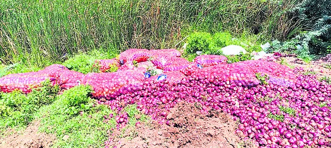 ఉల్లి