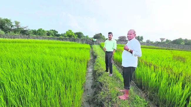ప్రకృతి వ్యవసాయంతోనే ఆరోగ్యం 