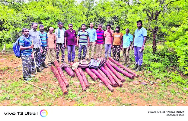 ఎర్రచందనం దుంగల స్వాధీనం