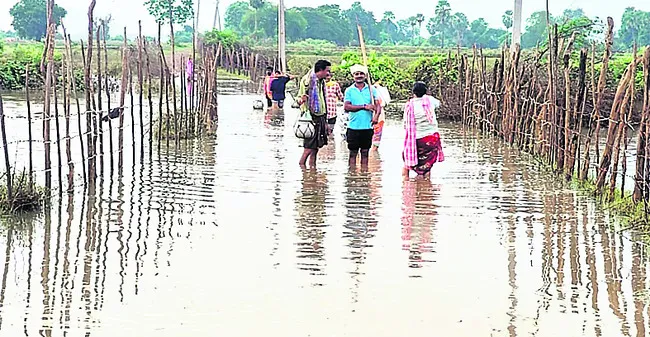 కన్నీ
