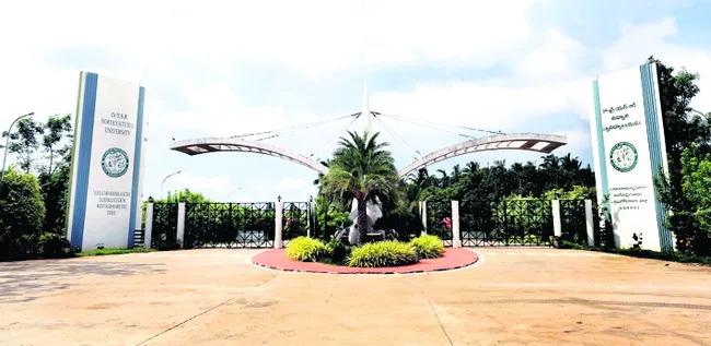 సందిగ్ధంలో వీసీ పీఠం