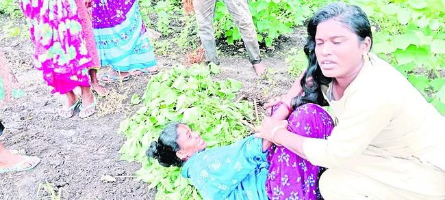 పోడు సాగు వివాదం