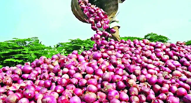 రైతులను కన్నీరు పెట్టిస్తున్న ఉల్లి
