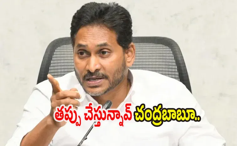 చంద్రబాబు అనుకున్నంత పనీ చేశారు: వైఎస్‌ జగన్‌