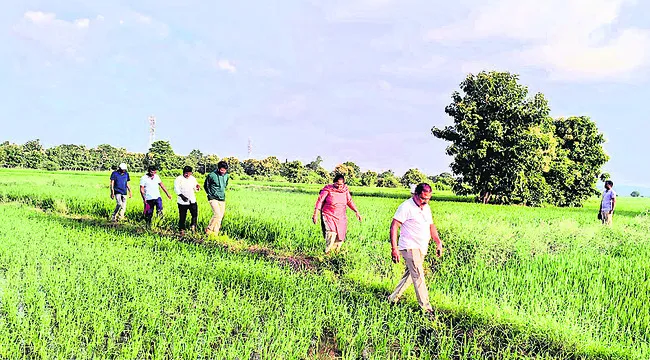 వానగు