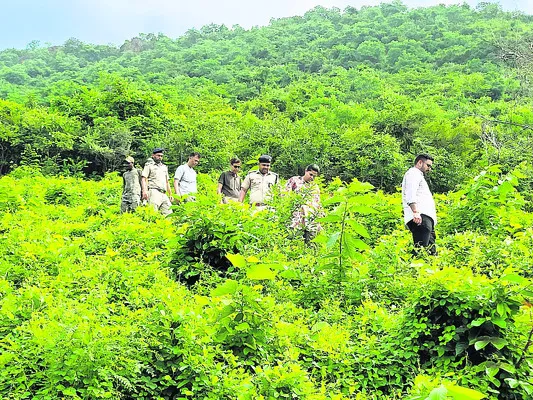 మహేంద