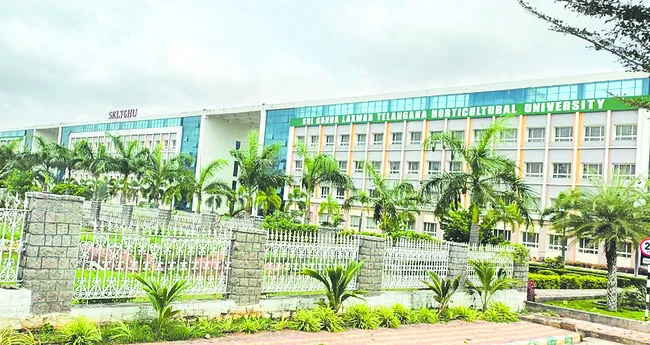 ఉద్యాన వర్సిటీకి దక్కని ర్యాంకింగ్‌