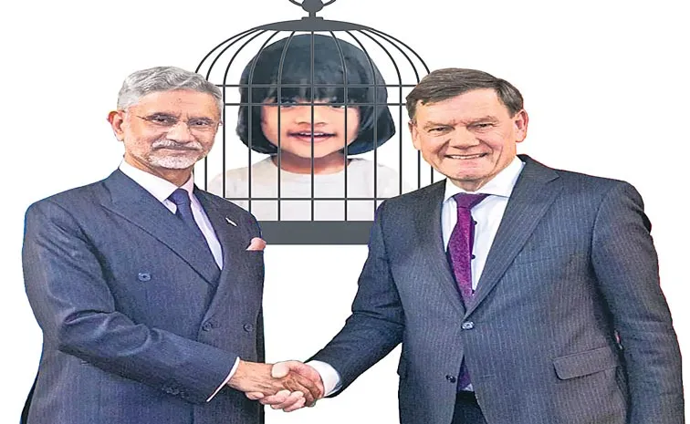 India Urges Germany To Ensure Early Return Of Baby Ariha Shah