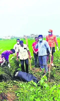 బంగార