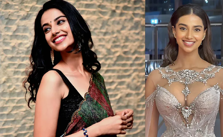 Meenakshi Chaudhary Will One Movie With Danush