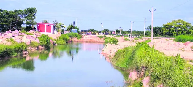 నత్తన