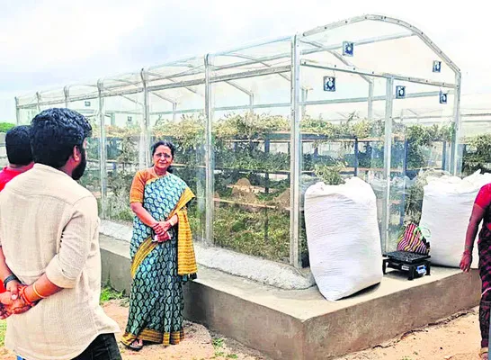కుటీర పరిశ్రమల ఏర్పాటుకు ప్రోత్సాహం