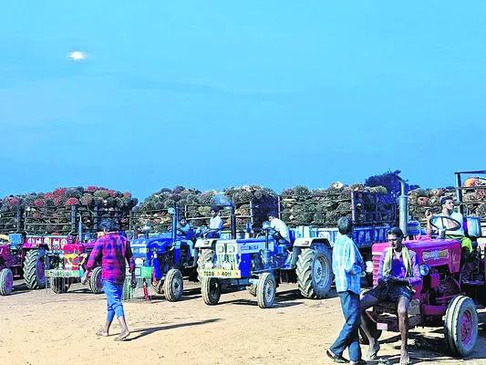 పోటెత