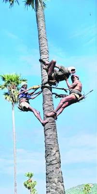 గీతకార్మికుడి నరకయాతన