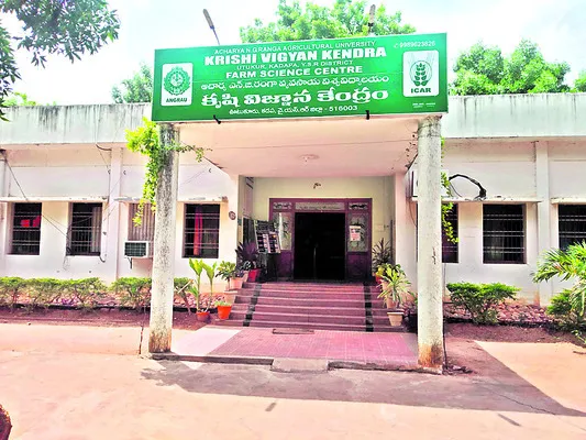 ‘కృషి’కి దక్కిన ఫలితం 
