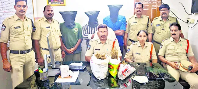 గంజాయి కేసులో ముగ్గురి అరెస్ట్