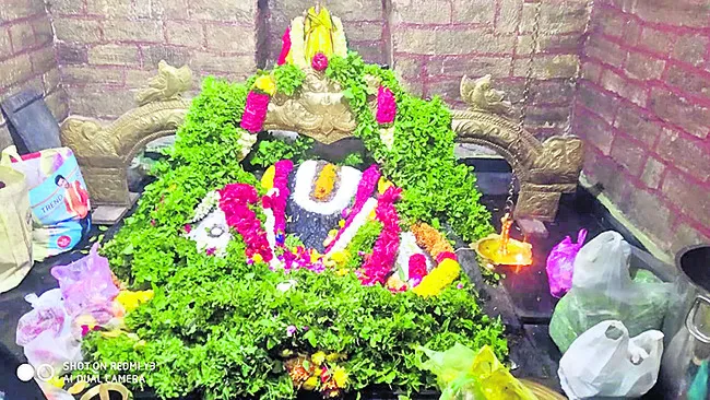 నేత్రపర్వంగా అనంతుని జయంతి