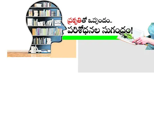 వివిధ