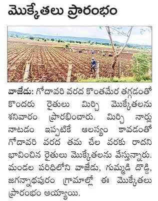 హేమాచ