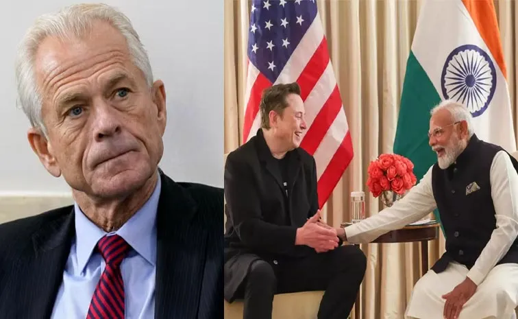 X Fact Check Counter To Trump Adviser Peter Navarro