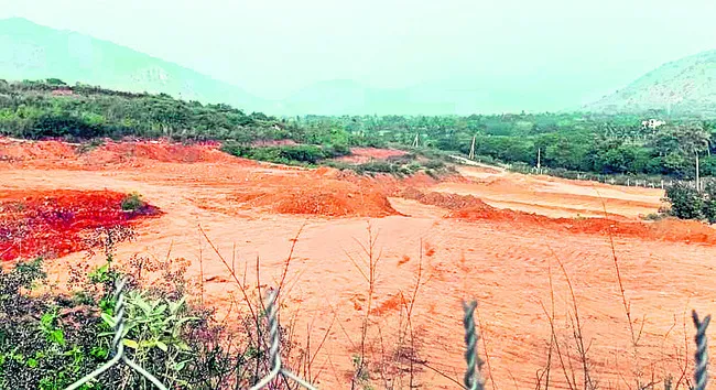 అటవీ 