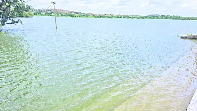 నాన్‌