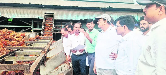 తెలుగు రాష్ట్రాల్లోనే అధికంగా సాగు
