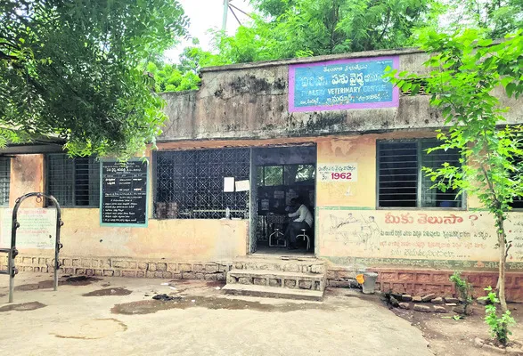 పశువై