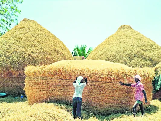 వరిపంట కొనుగోలే లేదు 