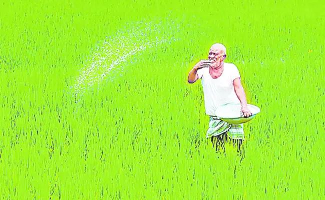 యూరియా.. ఏదయా!