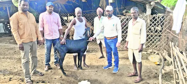 సీజనల్ వ్యాధులపై అప్రమత్తంగా ఉండాలి