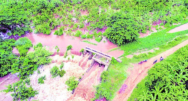 5.20 లక్షల హెక్టార్లలో పంటనష్టం 