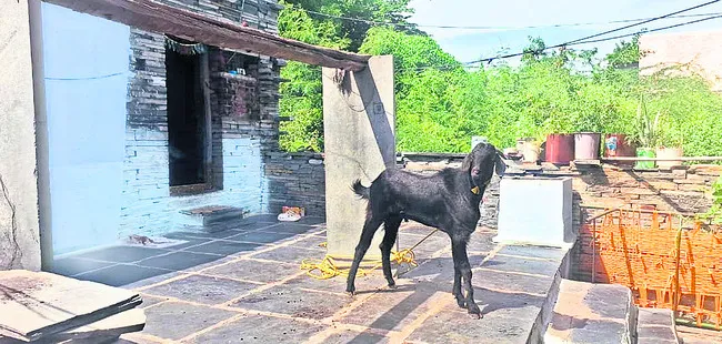 టీడీపీ నేత చెబితే వినాల్సిందే
