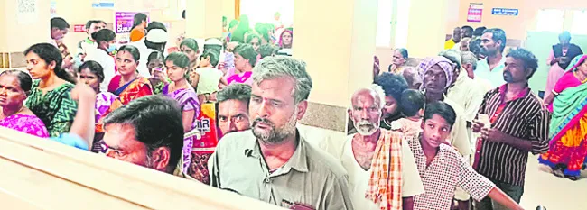 విష జ్వరాలతో విలవిల
