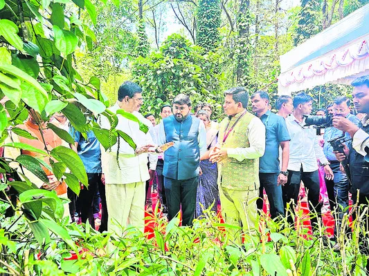 ప్రతి