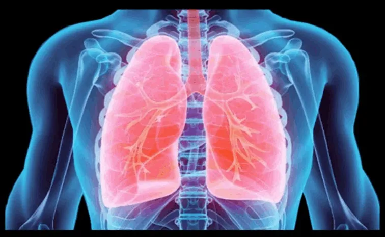 Understanding the multifaceted impact of air pollution on health impacts