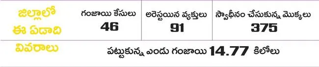 పత్తి