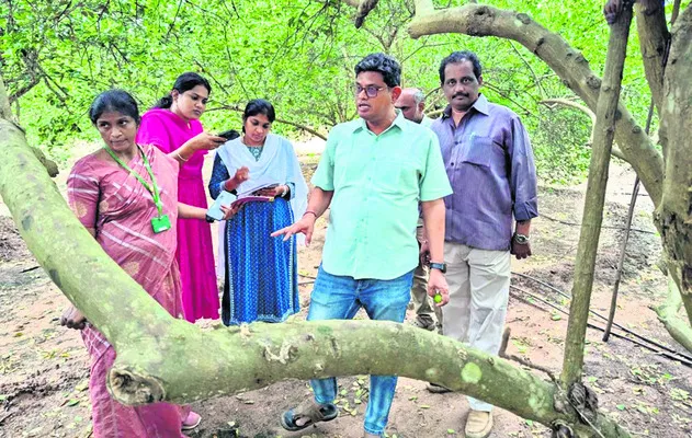 ఆంధ్ర