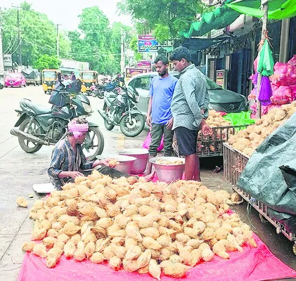 కొబ్బరికాయ ధరలకు రెక్కలు