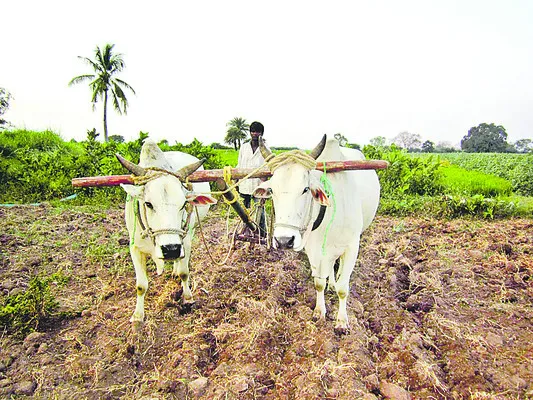 యాసంగిపైనే ఆశలు