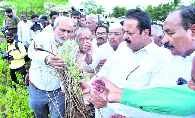 ఇంత వ