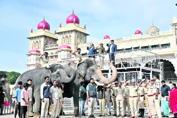 జంబూస